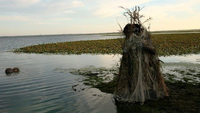 De la bloute au bord du lac