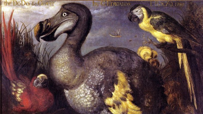 tableau-du-dodo-573acaa8.jpg