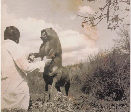 fontcuberta-le-professeur-et-centaurus.jpg