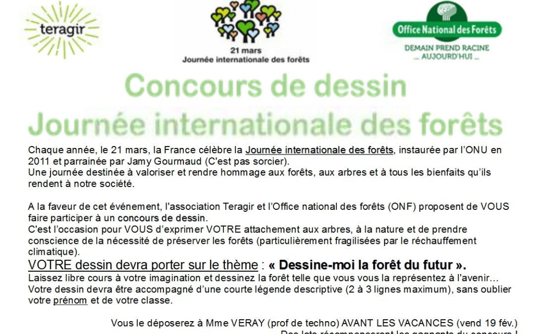 Journée internationale des forêts : concours