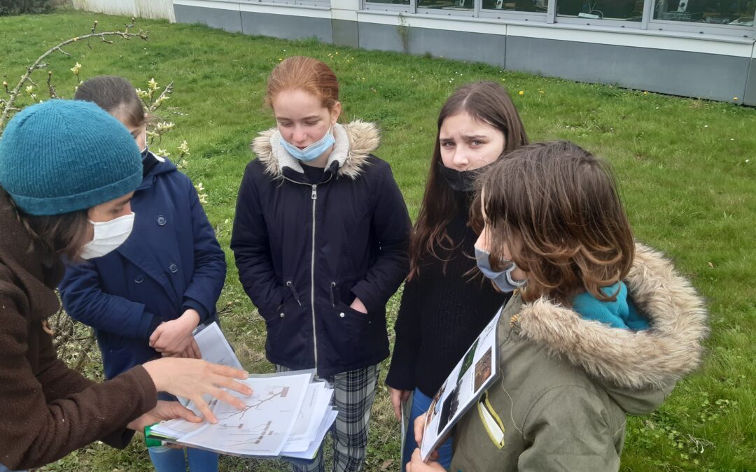 Club jardin – Séance du 08 mars 2022 – Taille des fruitiers – Intervention d’une maman d’élève