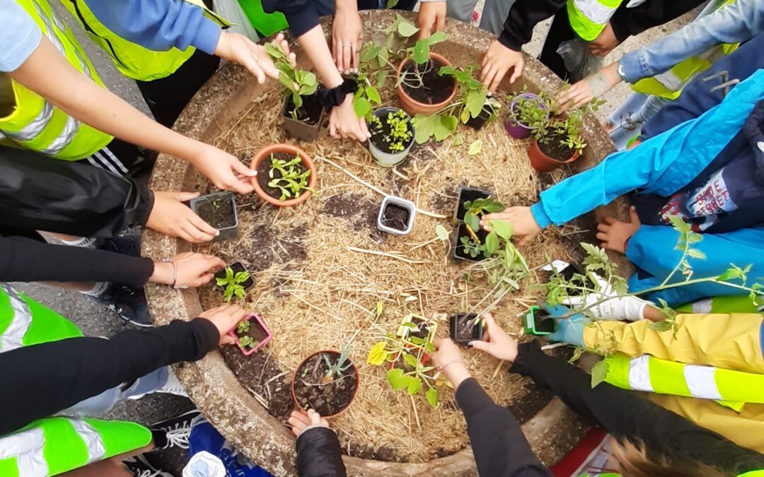 Projet INCROYABLES COMESTIBLES réalisé par la 6eD, classe coopérative (JUIN 2023)